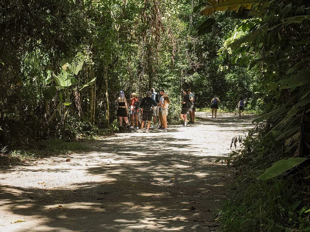 Kostaryka na wlasna reke Park Narodowy Manuel Antonio droga