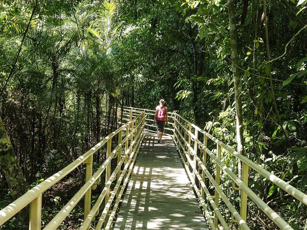 Kostaryka na wlasna reke Park Narodowy Manuel Antonio namorzyny