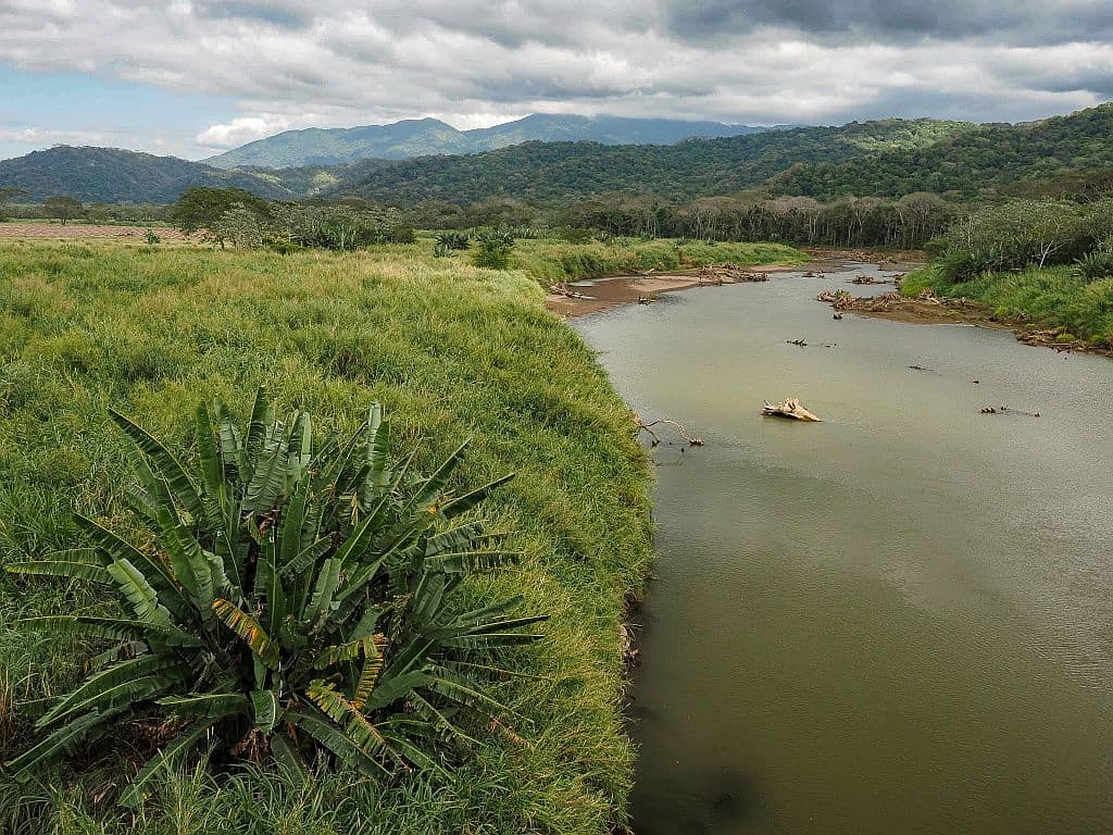 Kostaryka na wlasna reke Rio Tarcoles – obserwacja krokodyli w Kostaryce