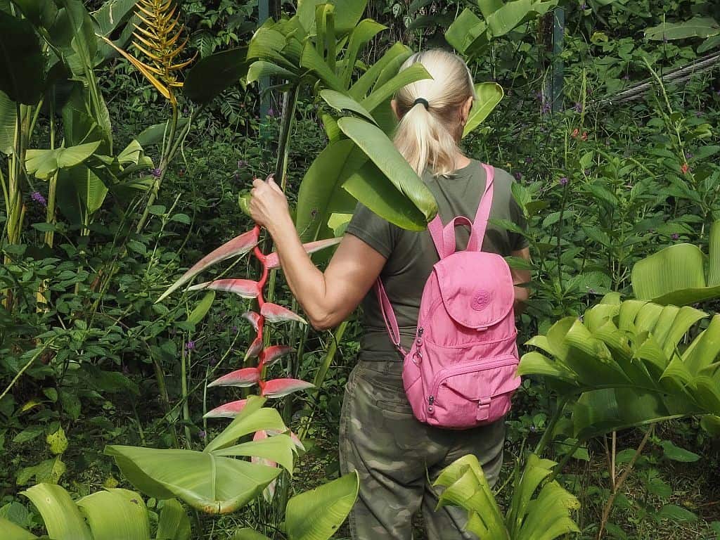 Kostaryka na wlasna reke spacer w dzungli