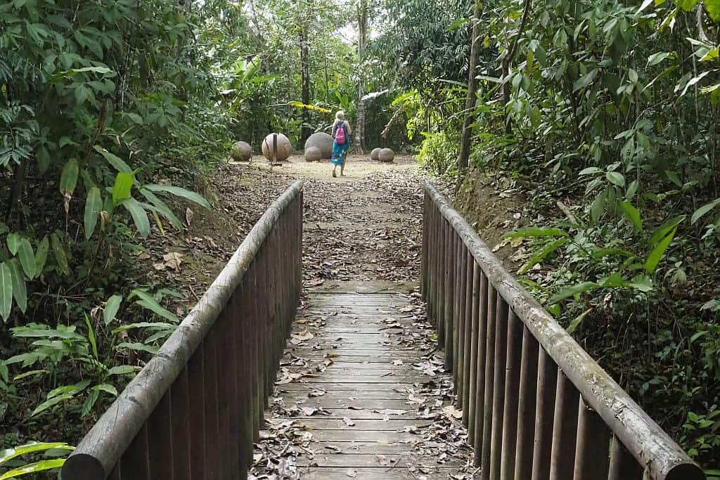 kostaryka finka 6 w dzungli