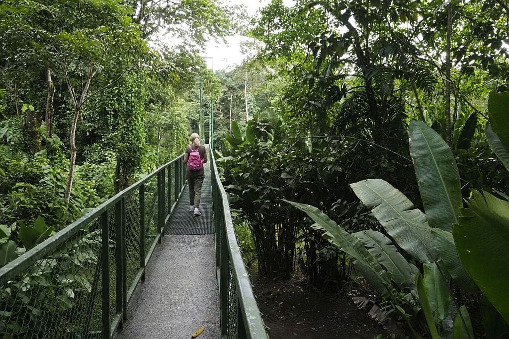 kostaryka na wlasna reke Sarapiqui