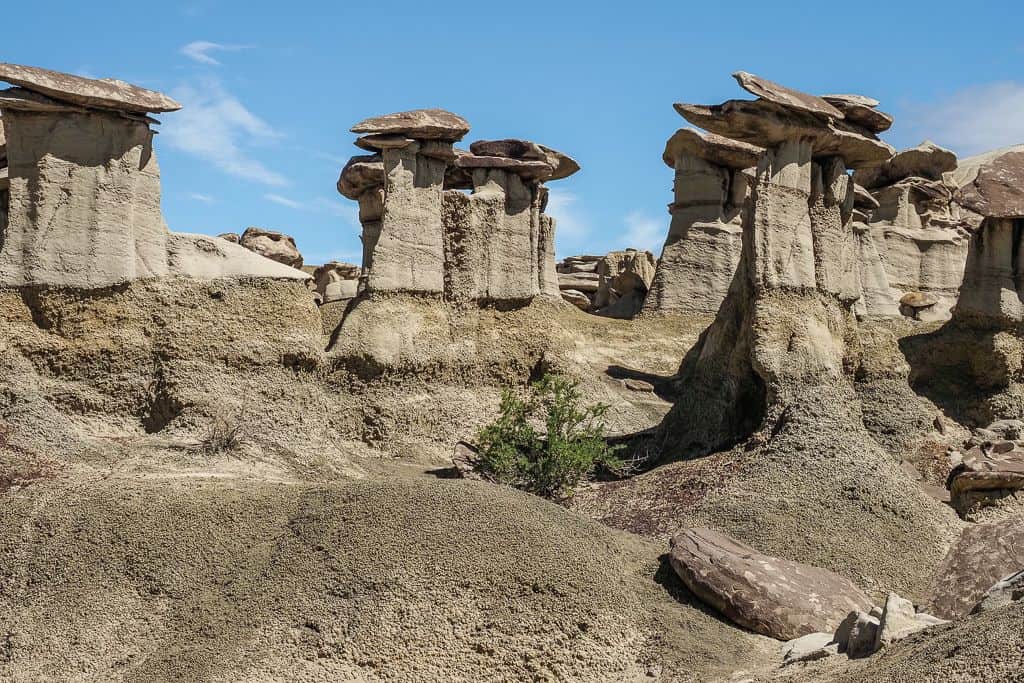 Valley of Dreams i Ah‑Shi‑Sle‑Pah w Nowym Meksyku 22 Ah‑Shi‑Sle‑Pah – skamieniale pnie na otwartym terenie