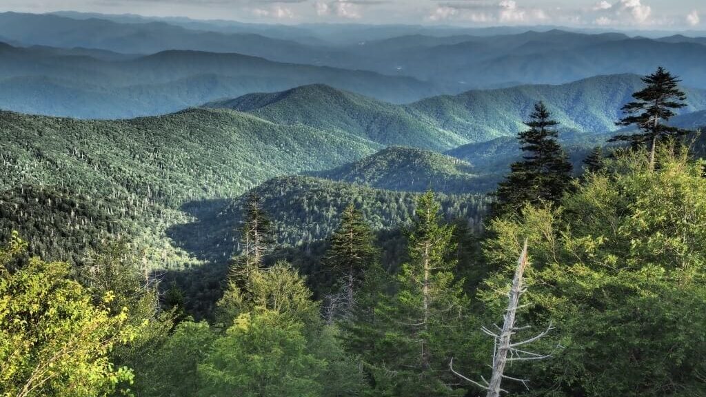 Great Smoky Mountain Czirokezi