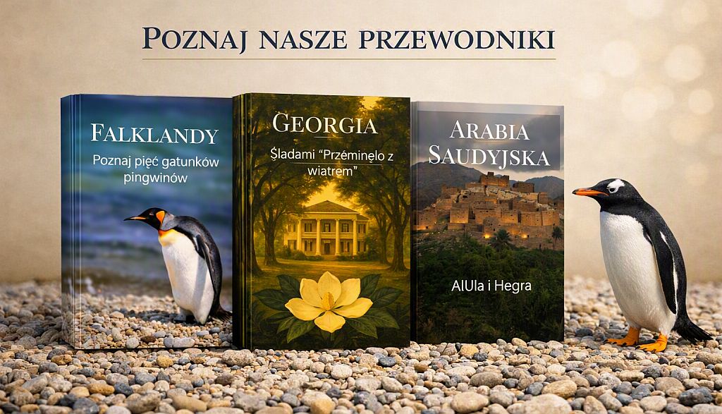 Promotion Image